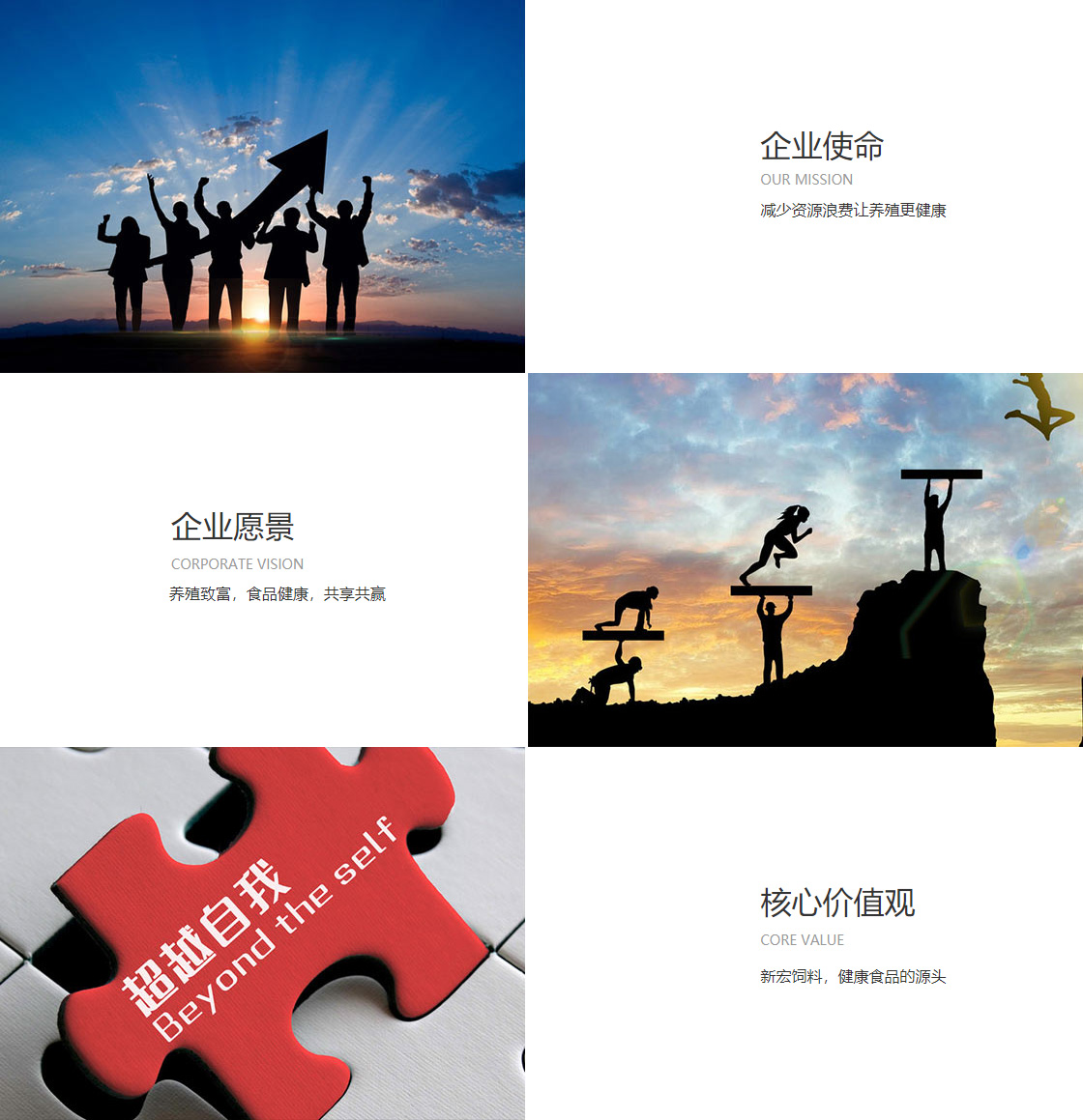 YY易游m6网址(图1)
